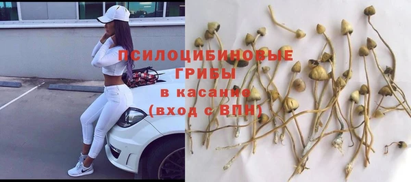 крисы Дмитров