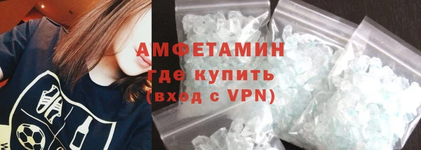 амф Ельня