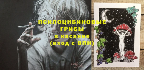 крисы Дмитров