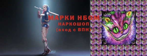 крисы Дмитров