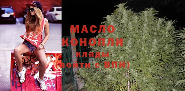 крисы Дмитров