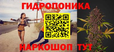 трава Пугачёв