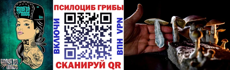 Псилоцибиновые грибы MAGIC MUSHROOMS  купить наркотики цена  кракен ТОР  Самара 