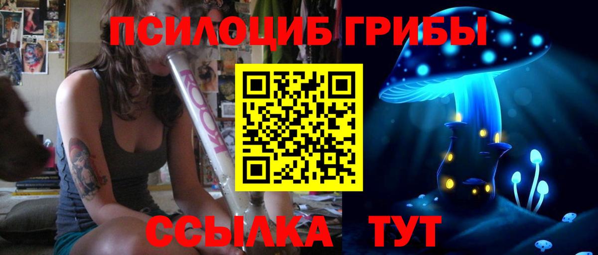 Галлюциногенные грибы MAGIC MUSHROOMS  Вход с VPN  Самара 