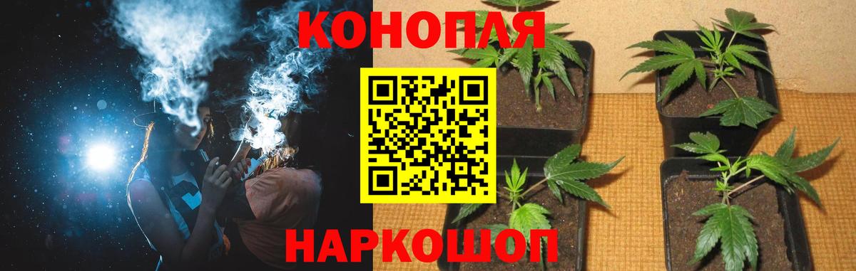 Бошки Шишки Bruce Banner  Бошки Шишки VHQ  Вход с VPN  Самара 